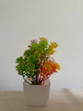 Blooming Palette