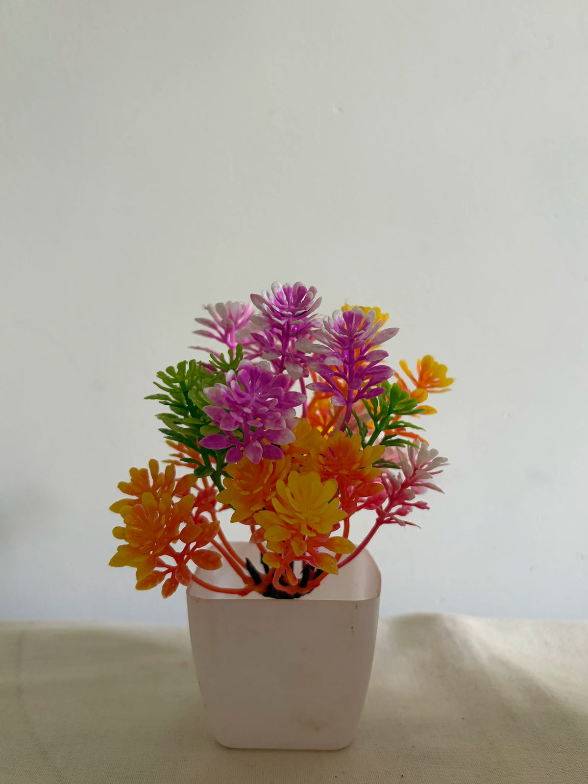 Spring Harmony