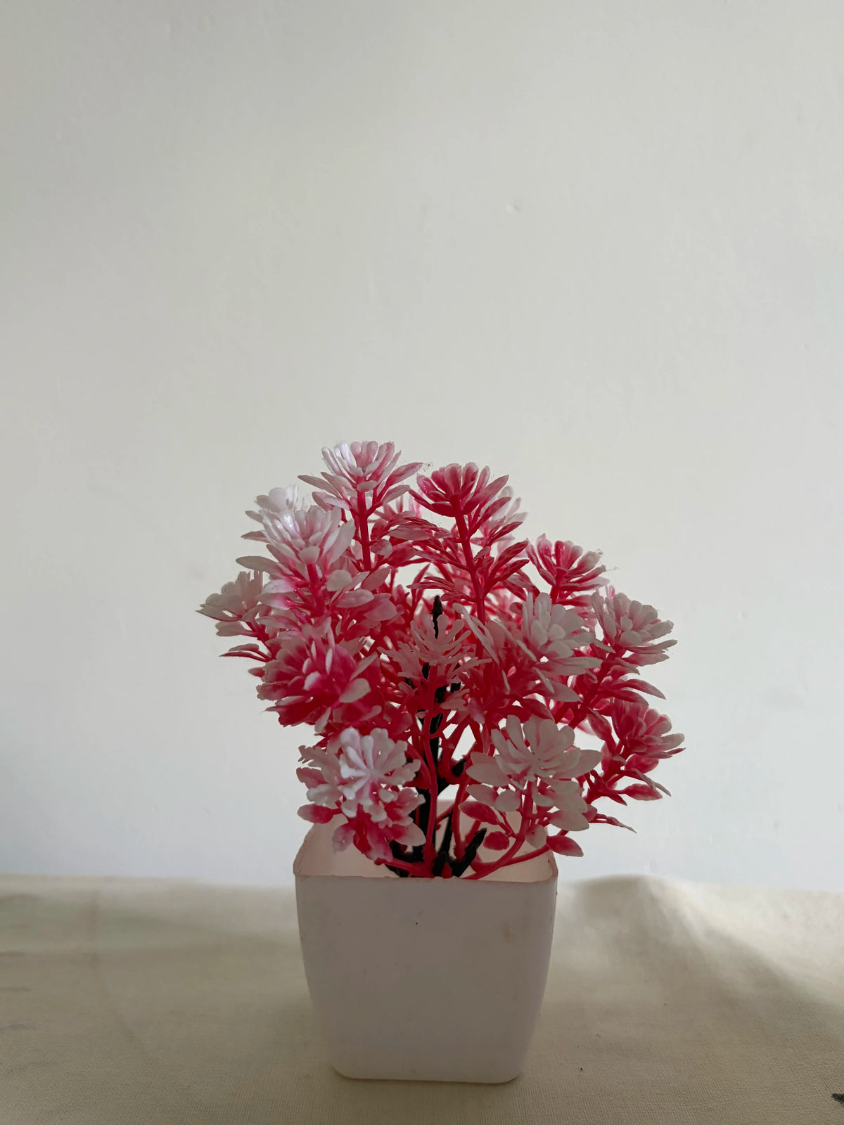 Ruby Garden
